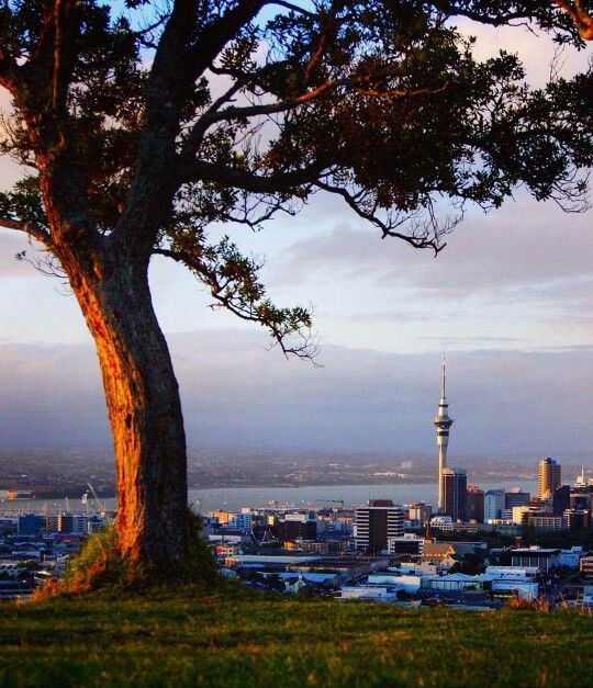 Auckland Park extended stay